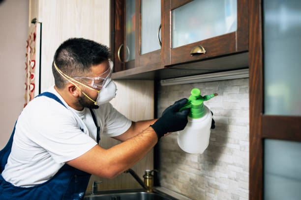 Best Local Pest Control Services  in Ashland City, TN