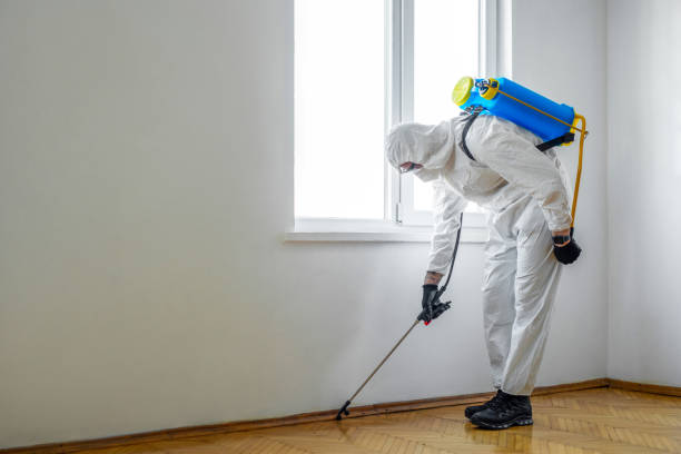 Best Best Pest Control Companies  in Ashland City, TN