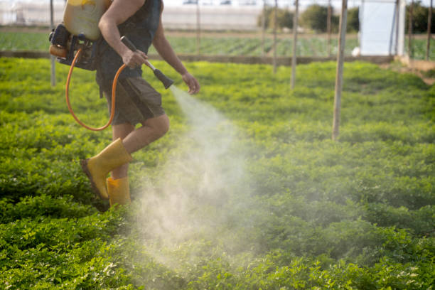 Best Residential Pest Control  in Ashland City, TN