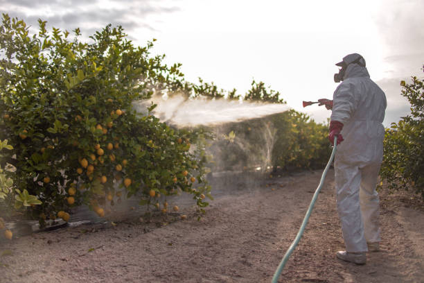 Insect Control in Ashland City, TN