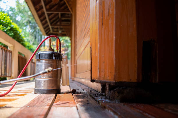 Best Wasp Removal Services  in Ashland City, TN