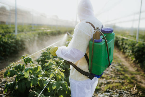 Best Commercial Pest Control Services  in Ashland City, TN